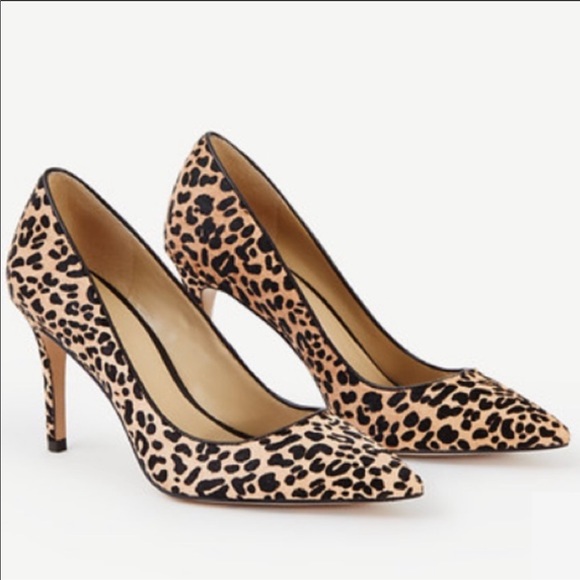 Ann Taylor Shoes - ANIMAL PRINT PUMPS Dyed Shearling 9